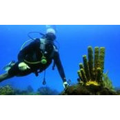 Mauro Lisboa's photo