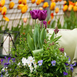 Spring Rotations - Home Fragrances