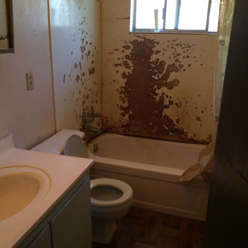 BEFORE PIC - SEVERELY DAMAGED TUB/SHOWER SURROUND- WAS STILL IN USE