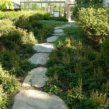 Virginia Gardening