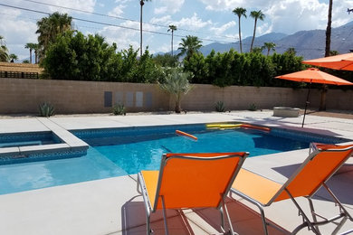 Inspiration for a modern pool remodel in Other