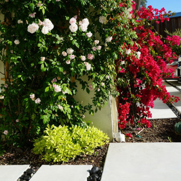Front Yard Landscape Design