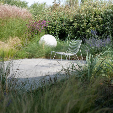 Dune garden in The Netherlands