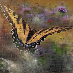Fine Art Photocompositions - Artwork