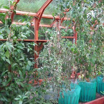 Nantucket style greenhouses