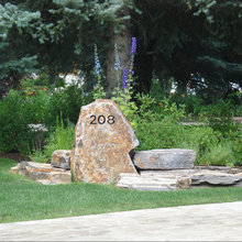 front side yard