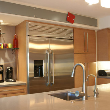 Contemporary Kitchen II