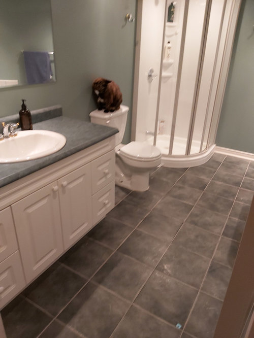 My Ugly Bathroom - Inexpensive Ways To Cover Ugly Bathroom Tile My Ugly Bathroom - Inexpensive Ways To Cover Ugly Bathroom Tile