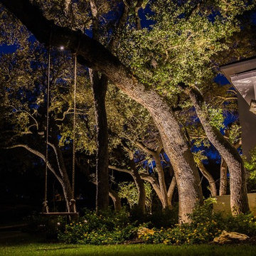 Mt. Bonnell Brilliance