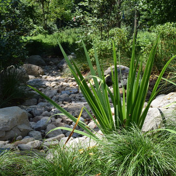 Woodland Garden