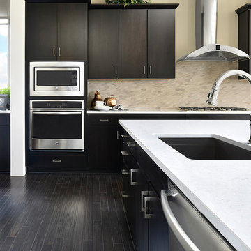 Daley model home in Colorado