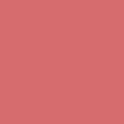Begonia - Paint