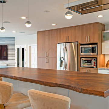 Cupertino Modern Kitchen and Family Room