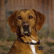 Amanda Lindquist's photo