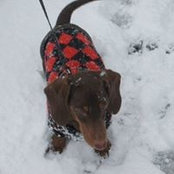 Marlene Hiner's photo