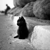 Elena Riazanova's photo