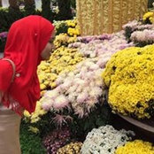 Edelia Izzati's photo