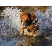 Carol Hynes's photo