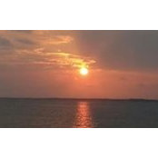 Melanie Wolverton Kidd's photo