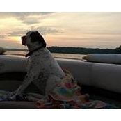 Kathy Lax's photo