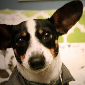 Dianne Tababan's photo