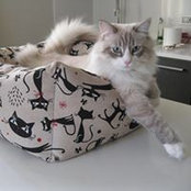 Foto von Manuela Faccio