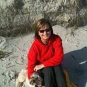 Cherie Bailey's photo