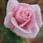gracie vin's photo