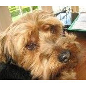 Bentley Hanson's photo
