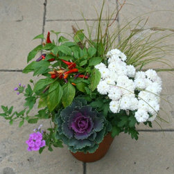Fall Container Gardens - Products