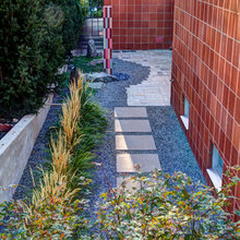 Mid Century Garden