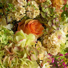 fleurs arrangement