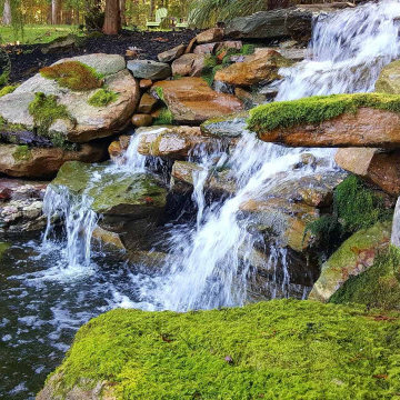 Landscape Design