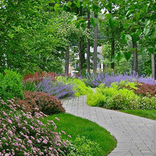 garden plants