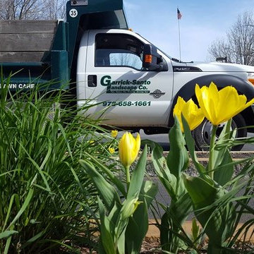 Spring Flowers
