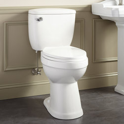 STALNAKER SIPHONIC TWO-PIECE ELONGATED TOILET-19" SEAT HEIGHT-ADA COMPLIANT - Toilets