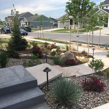 Watching a Xeriscape Grow