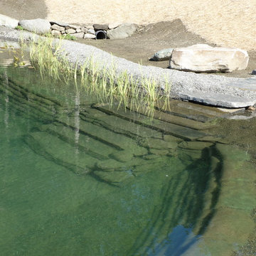 Natural Swimming Pond near Dartmouth College in Hanover, NH
