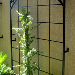 Wrought Iron Trellises - Outdoor Products