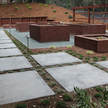 Veggie Beds