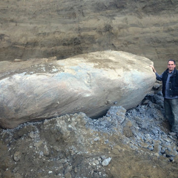 Ancient Art of Stone