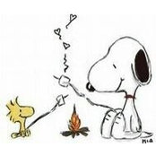 Diane Page's photo