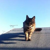 Alice Whitbread's photo