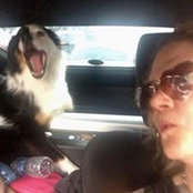 Kim Lucier's photo