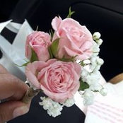 Rose Marchand's photo