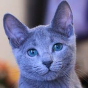 Natalia Shevtsova's photo