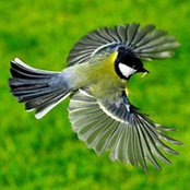James Gardiner's photo