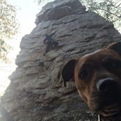 Gabe Glass's photo