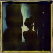 Alina Bee's photo