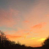 Foto von Sheila Elser